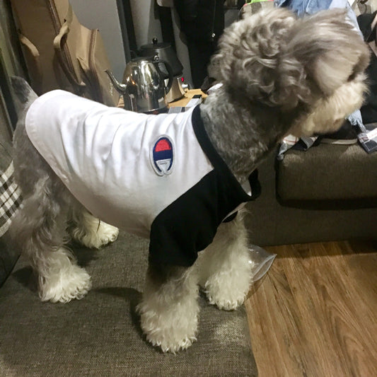 Pet Tide Summer T-Shirt for Dogs and Cats